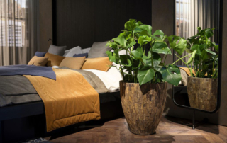 planten slaapkamer