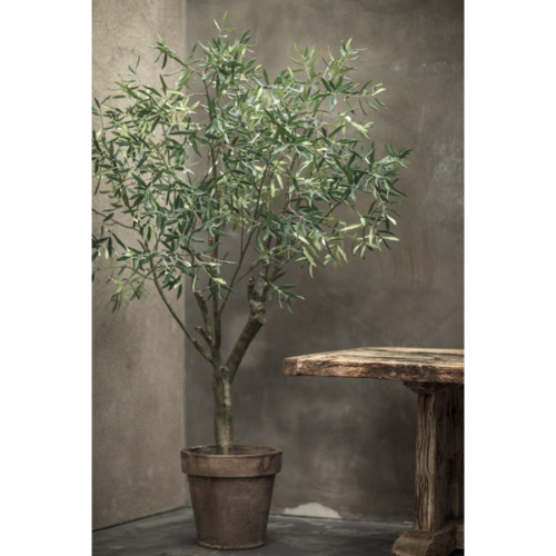 Kunst olijfboom in landelijke pot