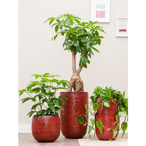 Plantenpot van het merk TS Collection, afgewerkt met een geglazuurde laag in de kleur Red