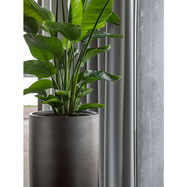 luxe en elegante plantenbak van Baq, Serie Metallic Silver Leaf in de kleur Matt Blue. Hoogte 90 cm