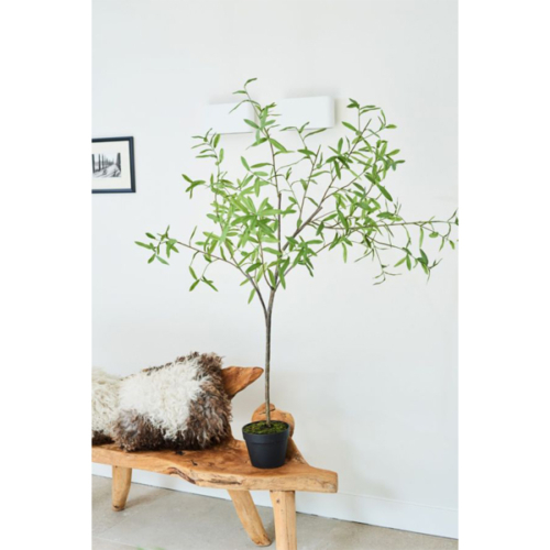 Kunst olijfboom in interieur