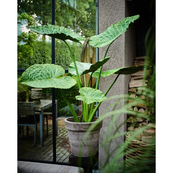 Zijden alocasia plant in tuinkamer 124 cm