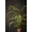 Zijden palm groen 180 cm in pot