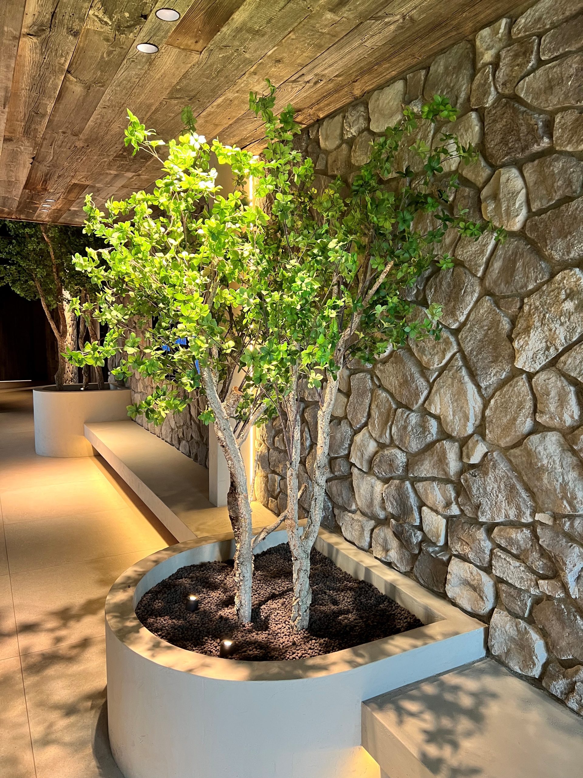 Zijden bomen Zijden kunstbomen op maat gemaakt