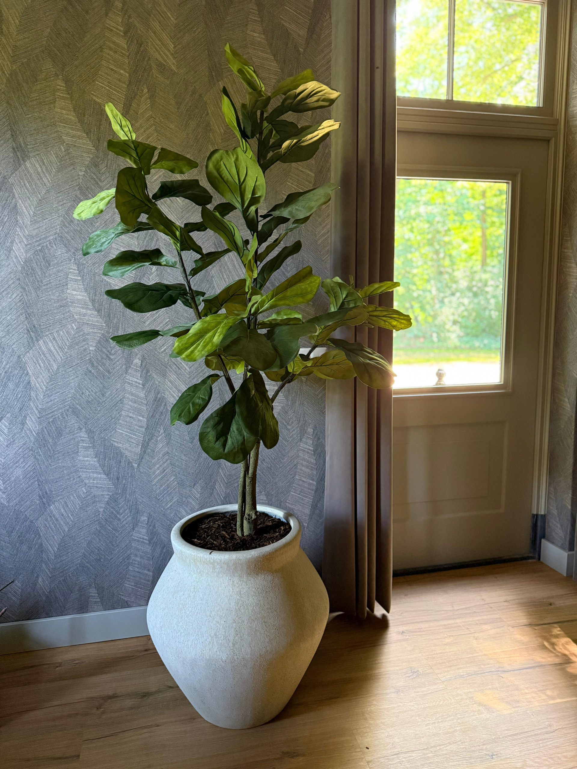 a6eb2538-4927-44d7-9dac-2861548f988c