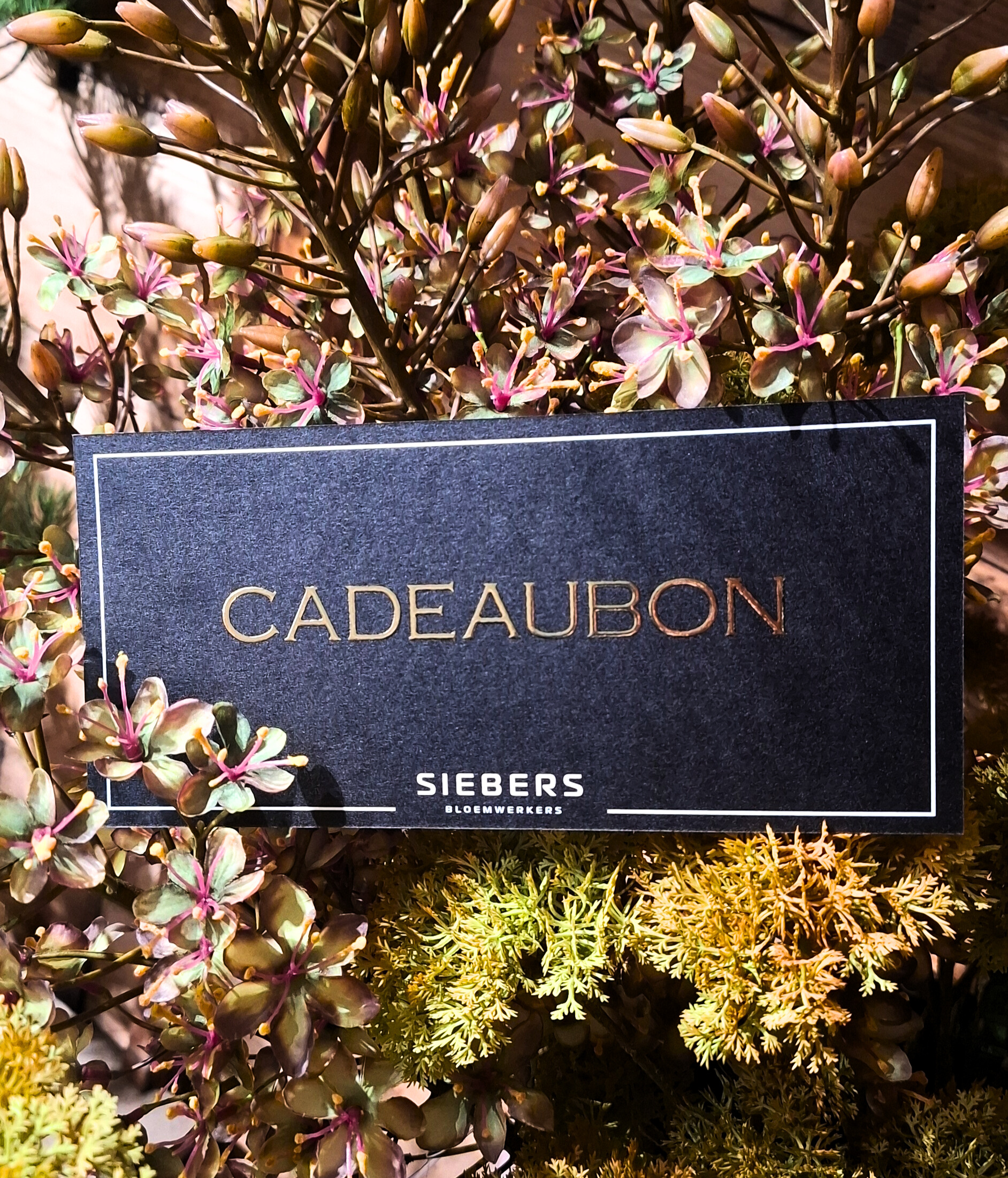 bd7f9f09-247a-4c72-a787-408c754b1a3d